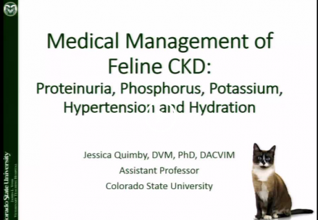 Metal Crown Construction