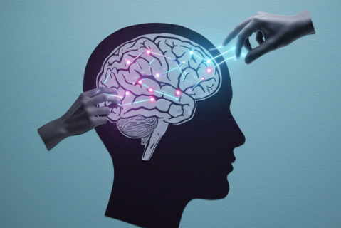 12004 علم النفس المعرفي الأساسي (Basic Cognitive Psychology)