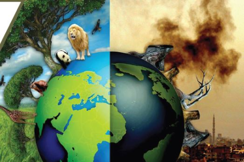 10.Çevre Kirliliği