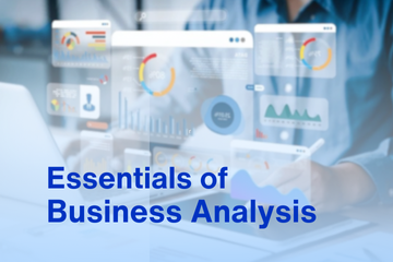 Essentials of Business Analysis