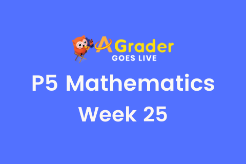 agrader learning centre course catalog p5 mathematics