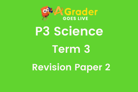 P3 teacher certification image