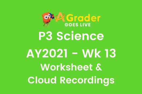 P3SI - Week 13 - Worksheet & Cloud Recordings (AY2021) (7.12.AY21.13)