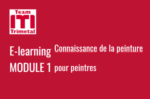Module 1: Connaissance de la peinture pour peintres
