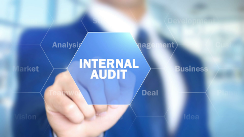 Auditing the ISO 9001:2015 (IA9001)