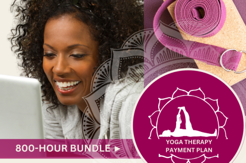 800 Hour I AM Yoga®: IAYT Registered Program Select Non-Core Programs On Demand (800hr.pp)