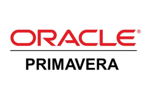 Resource & Cost Control using Oracle Primavera P6 Client (OP6-200)