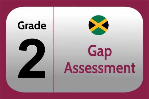 *Grade 02 Gap Assessment