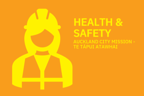 Health and Safety Training (Volunteer Dentists) (ACM H&S VD)
