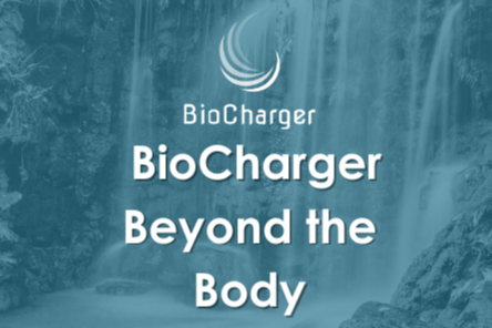 BioCharger Beyond the Body
