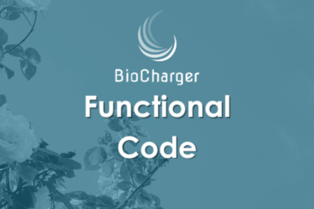 The Functional Code