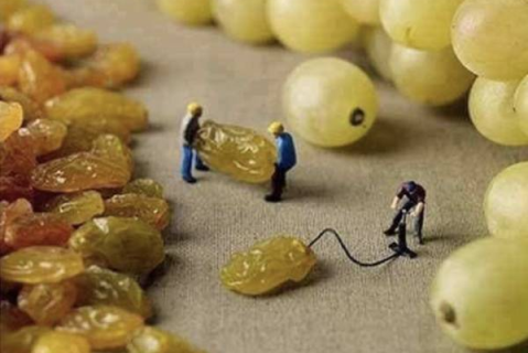 Introduction to Sports Medicine 101