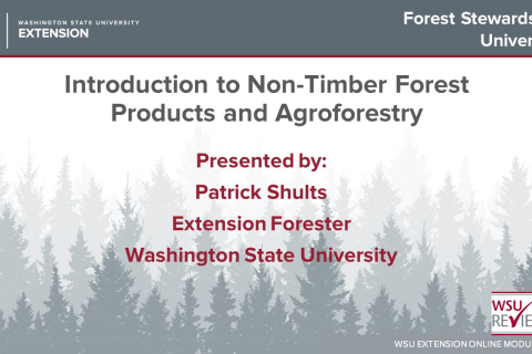 Introduction to Non-Timber Forest Products and Agroforestry (OM35)