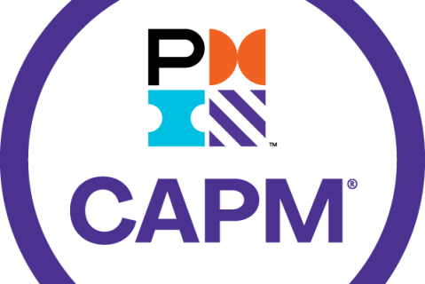 Cambridge Project Management Fundamentals - CAPM - 2025 (010)