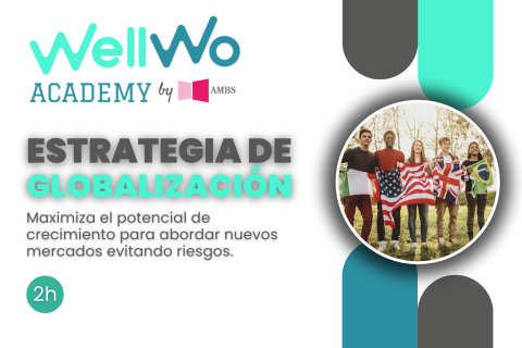 Estrategia de globalización