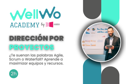 Dirección por Proyectos