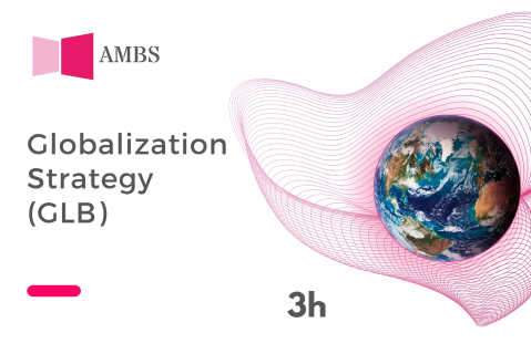 Globalization Strategy (GLB)