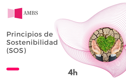 Principios de Sostenibilidad
