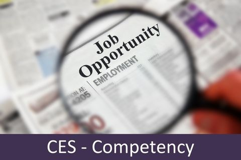 Certified Employment Strategist (CES Exam) (CES-COMP)