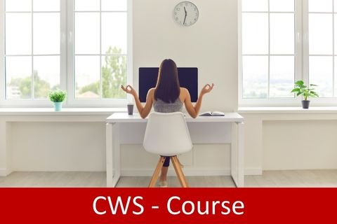 Certified Work-Life Strategist (CWS Course) (CWS-COURSE)