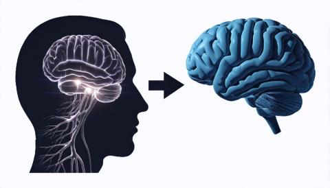 Neurodivergent Job Seekers: Practical Strategies for Career Success Webinar (Webinar-09/2025-mem)