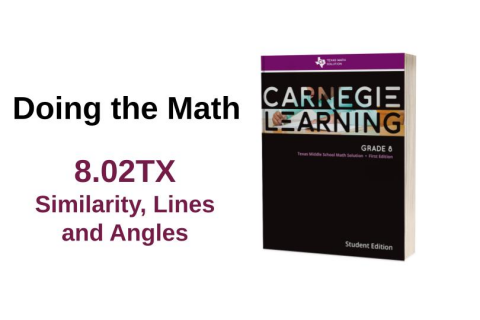 8.02TX Similarity, Lines and Angles (dtm-8.02-tx)