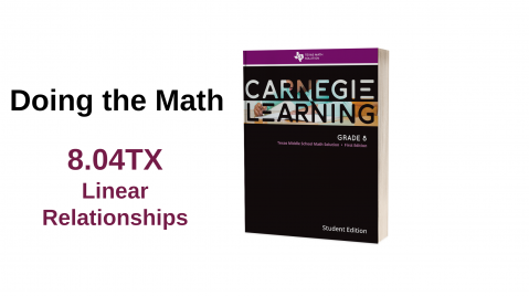 8.04TX Linear Relationships (dtm-8.04-tx)