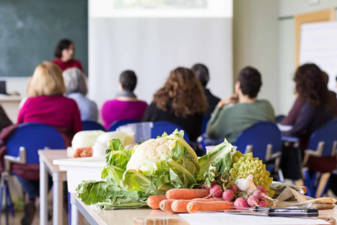 Food Education (FC-E01A)