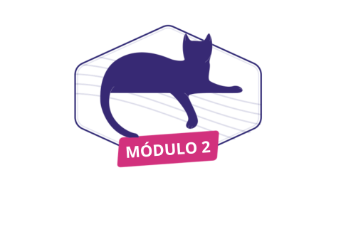 MÓDULO 2 - FELIWAY Cat Handling Programme