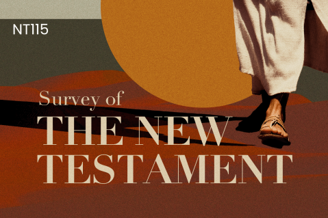 Survey of the New testament - Dr. Ronald E. Cottle (NT115)