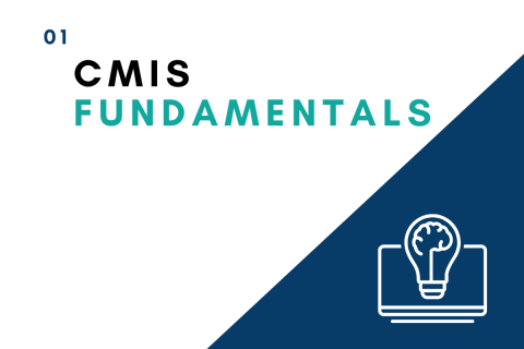 CMIS Fundamentals (001)