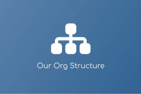 CoAbility Organisation Structure