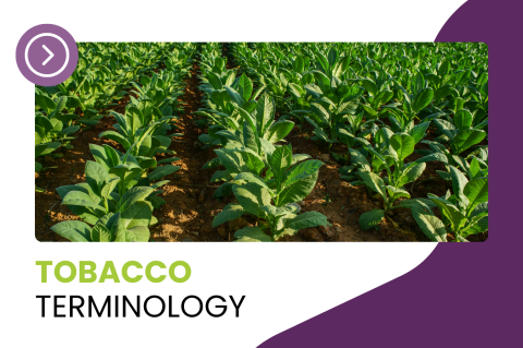 2 - Tobacco Terminology