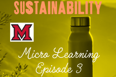 Micro Learning Episode 3: Maintaining Momentum