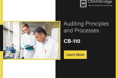 Auditing Principles and Processes (CB-110-25 v0)
