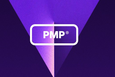 Project Management Professional (PMP)