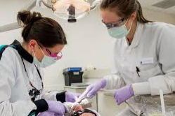 OSHA & Bloodborne Pathogens for Dental Professionals
