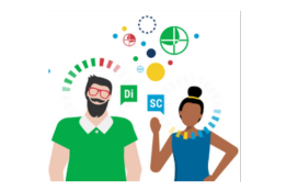 DISC Sales and Customer Service Professionals