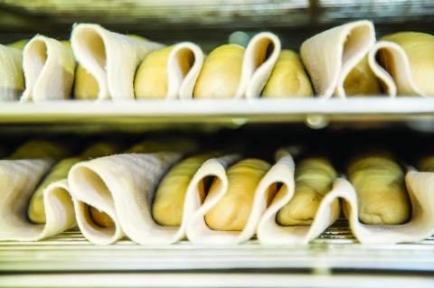 Les étapes de la fermentation (CAPB7)