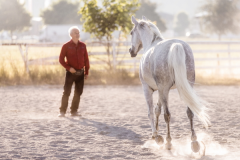 Bild Einführungskurs mit Videocoaching