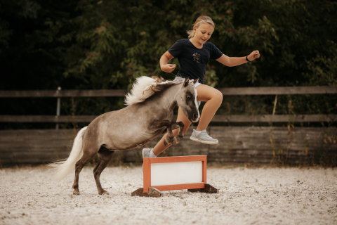 .Spiel, Spass & Tricks