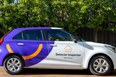 Working with Detector Inspector