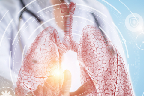 Zorgintegratie tussen huisarts en longarts: COPD als voorbeeld (252nlDOC)