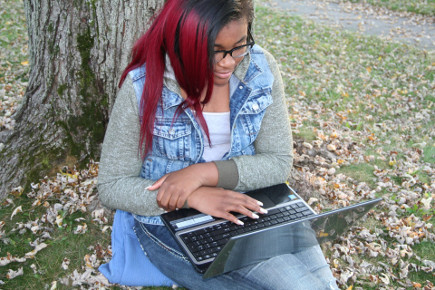 DriverEd Safety Online (131)