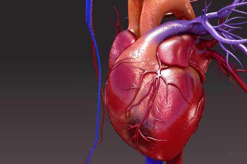 Cardio Assessment
