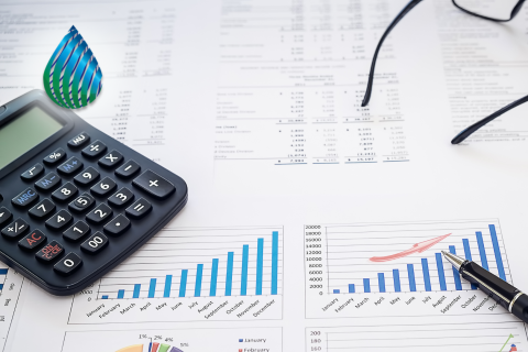 Budget Proposals/Propuestas de presupuesto (BDG102)