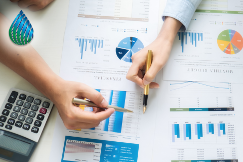 Operating and Capital Budgets /Presupuestos operativos y de capital (BDG103)