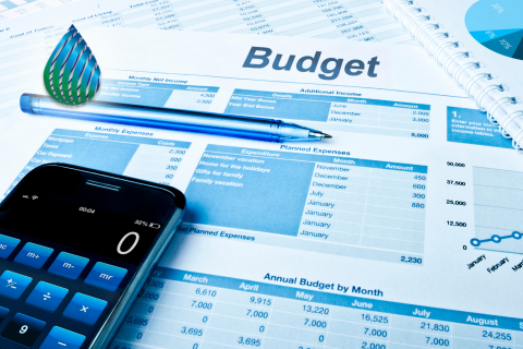 Budgeting Basics/Conceptos básicos de presupuesto (BDG100)