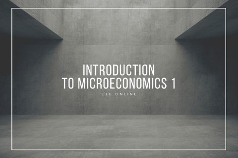 A1 - Introduction to Microeconomics 1 (A1)