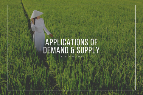 B3 - Applications of Demand & Supply (B3)